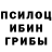 Канабис гибрид Kakki Baba