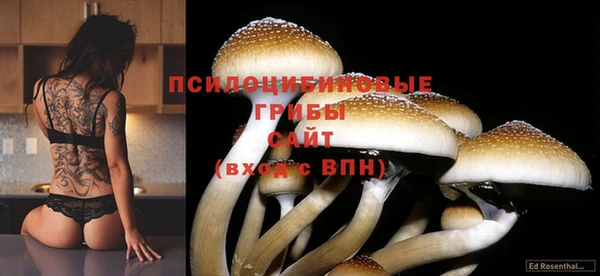 таблы Беломорск