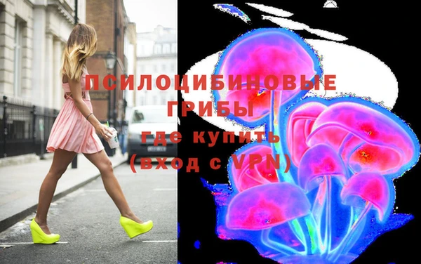 мдпв Белокуриха