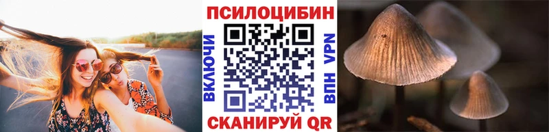 Псилоцибиновые грибы мухоморы  купить   Кунгур 